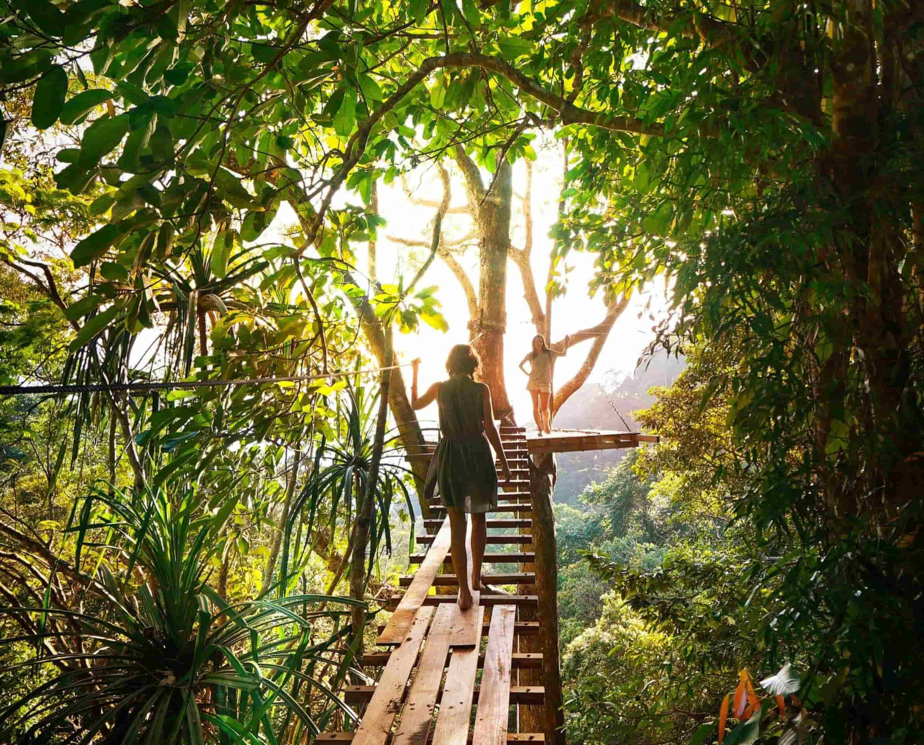 Experiencia turística en la naturaleza presentada por The Coco Travel